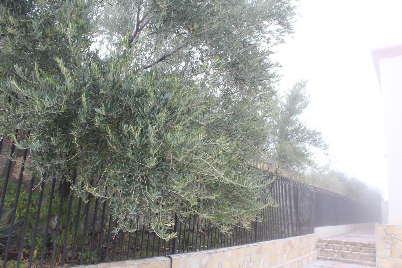 Asas Al Jabal Al Akhdar Apartments شقق أساس الجبل الأخضر Sayq 외부 사진